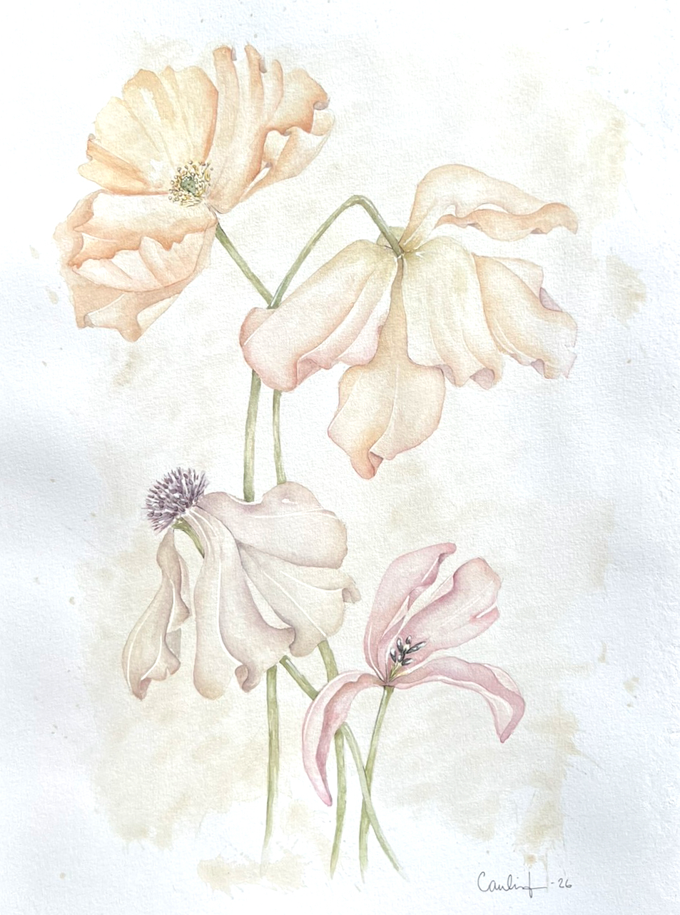 Last days of Bloom